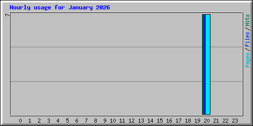 Hourly usage for January 2026